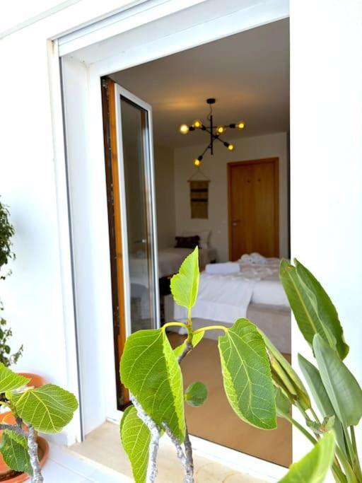 Nazare Boutique W Sea View And Private Rooftop Terace Exteriér fotografie